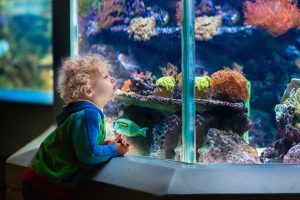 kids at electric city aquarium