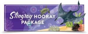 stingray hooray package electric city aquarium