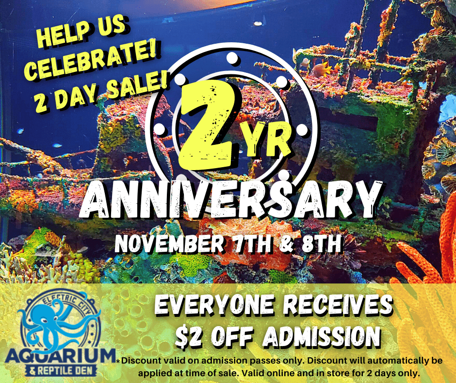 2 Year Anniversary- 2 Day Sale! Electric Aquarium & Reptile